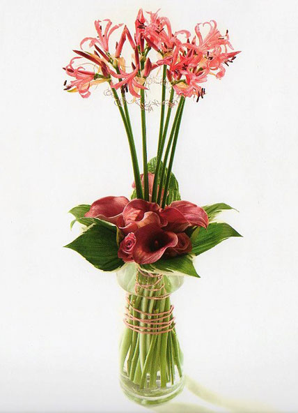 nerines-pink-csokor.jpg