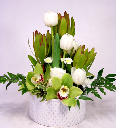 Virágposta - Virágtál tulipánokkal és orchideákkal