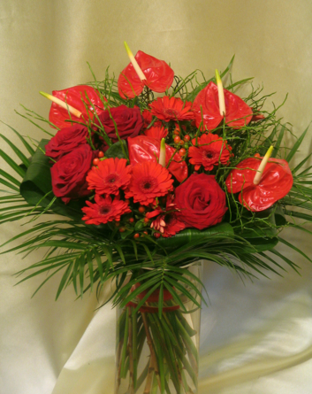 Virágposta - Szerelmes anthuriumok