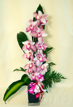 Virágposta - Orchidea ág csillogó kristályokkal