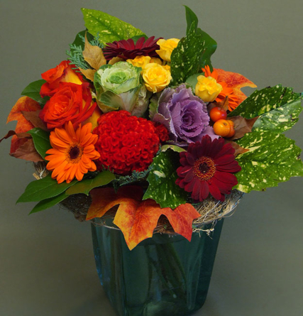 Virágposta - Napfény az őszben