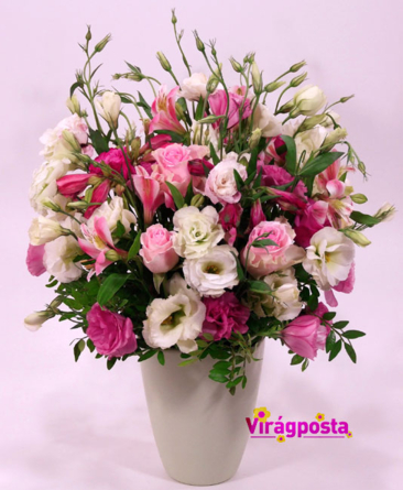 Virágposta - Liziantuszok kaspóban - rózsaszín virágfelhő